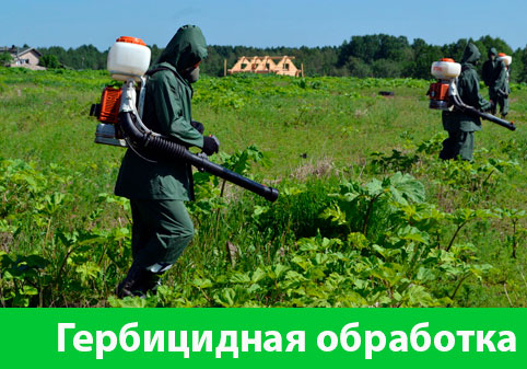 Гербицидная обработка в городе Калуга