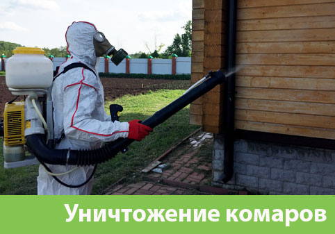 Уничтожение комаров в городе Калуга